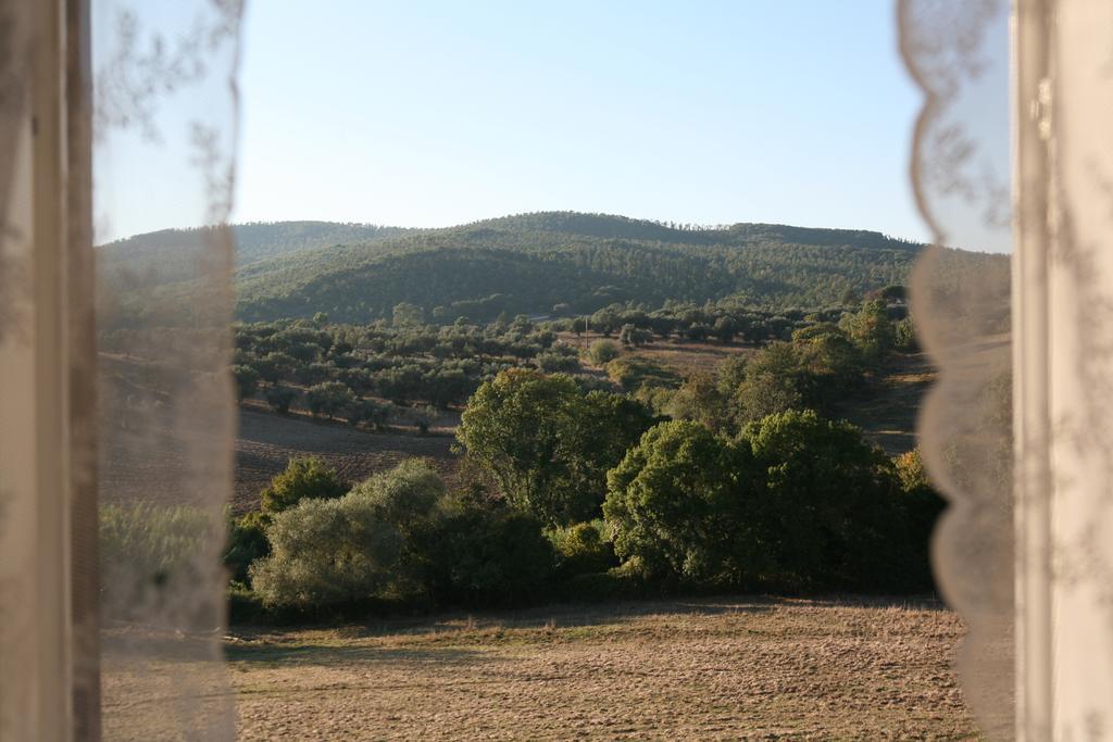 Agrihouse Villa Bracciano  Cameră foto